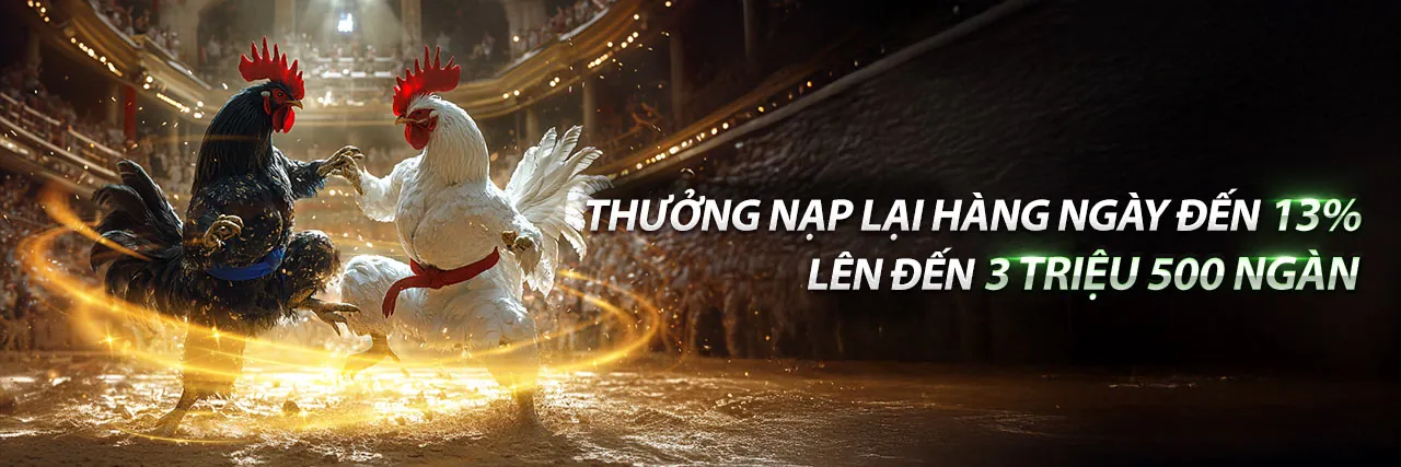 Sân vận động lớn với đèn sáng rực rỡ, thể hiện sự sôi động của cá cược thể thao tại KU77 Casino